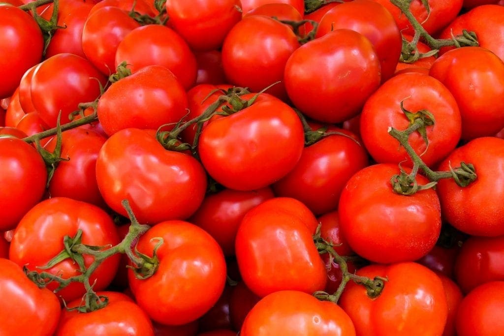 Ketahui Cara Menghilangkan Kerutan di Wajah dengan Tomat Secara Alami